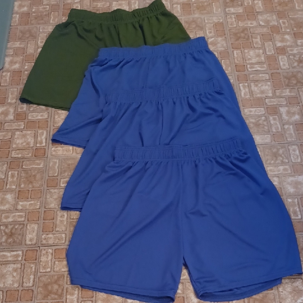 Set of 4 Athletic Shorts in Blue and Green Size Large